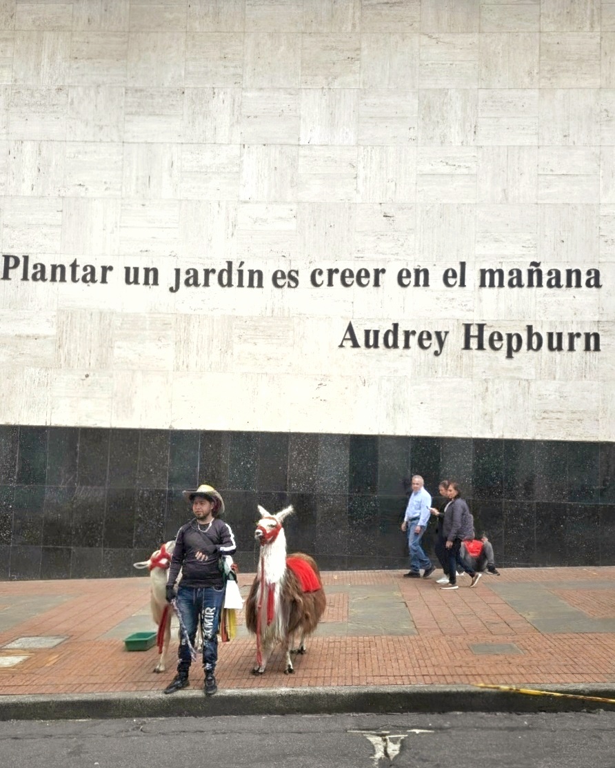 Permanencias invisibles